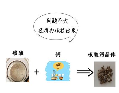 科学辟谣 | 长期喝"有水垢的水",会得肾结石吗?